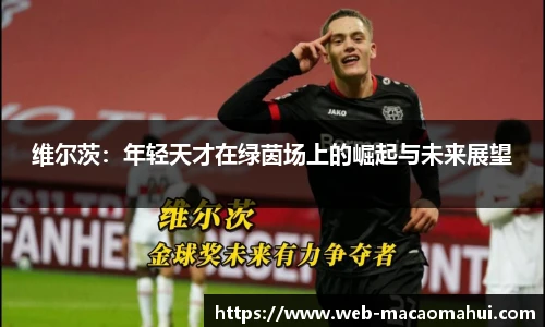 维尔茨：年轻天才在绿茵场上的崛起与未来展望